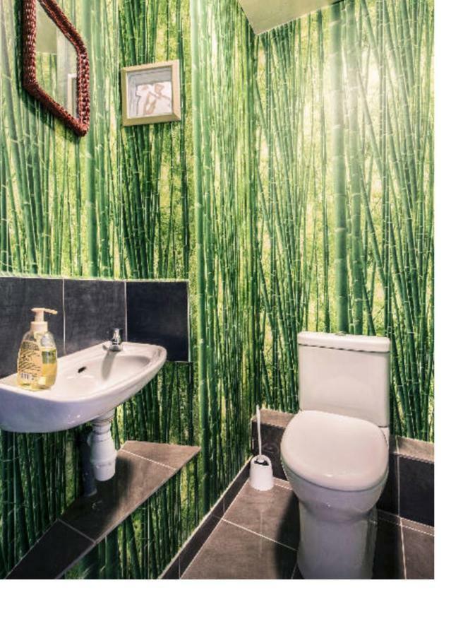 Appartement duplex sous les toits à Palau-del-Vidre Extérieur photo